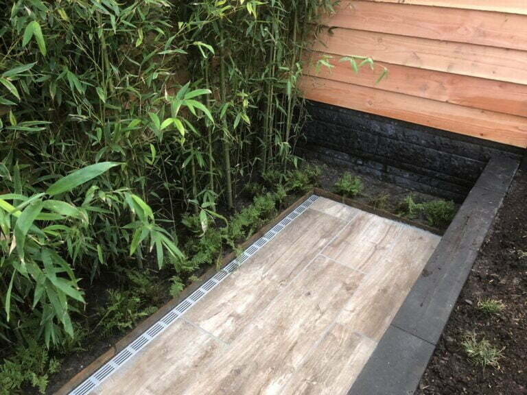 51579805_1887688741356759_1328052635802009600_o